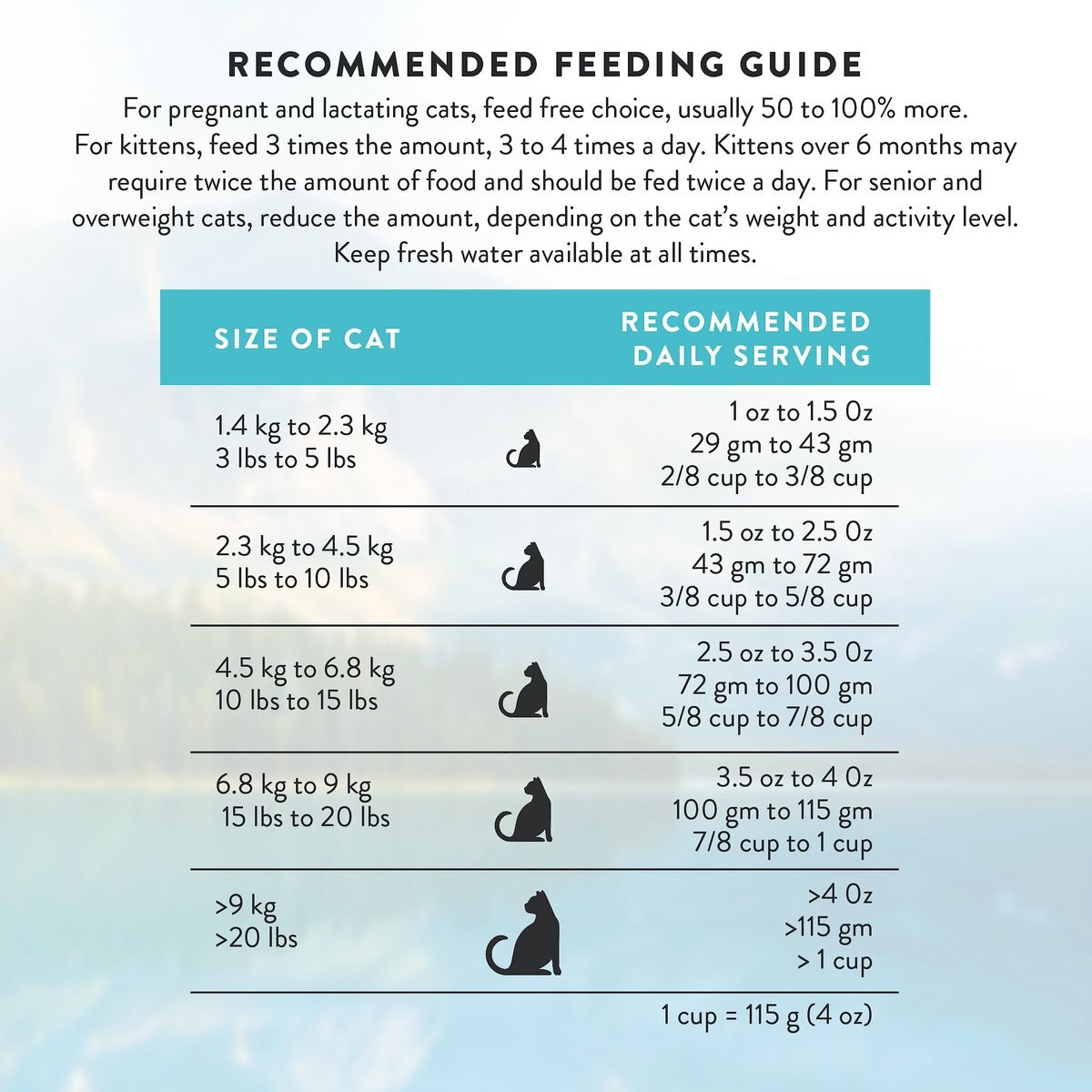 Addiction Grain-Free Salmon Bleu Dry Cat Food