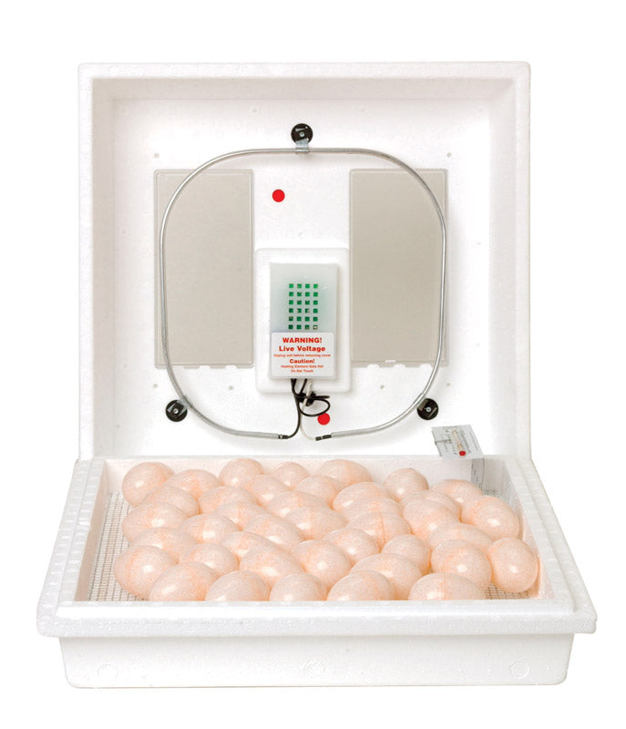 INCUBATOR STILLAIR 110V