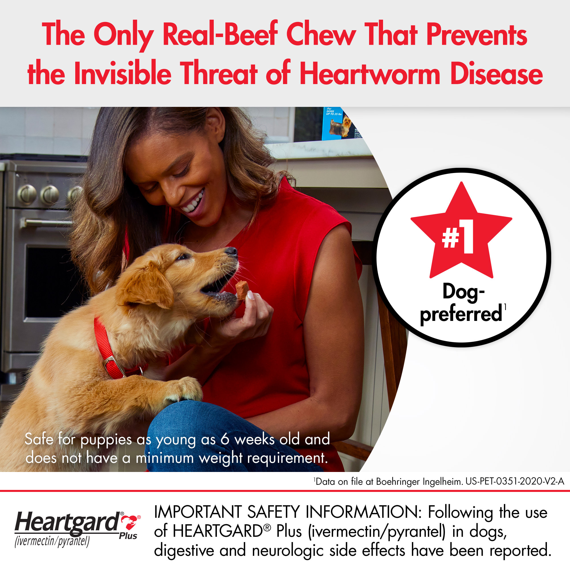 Heartgard Plus Chewables for Dogs 26 to 50 lbs.， 6 Month Supply