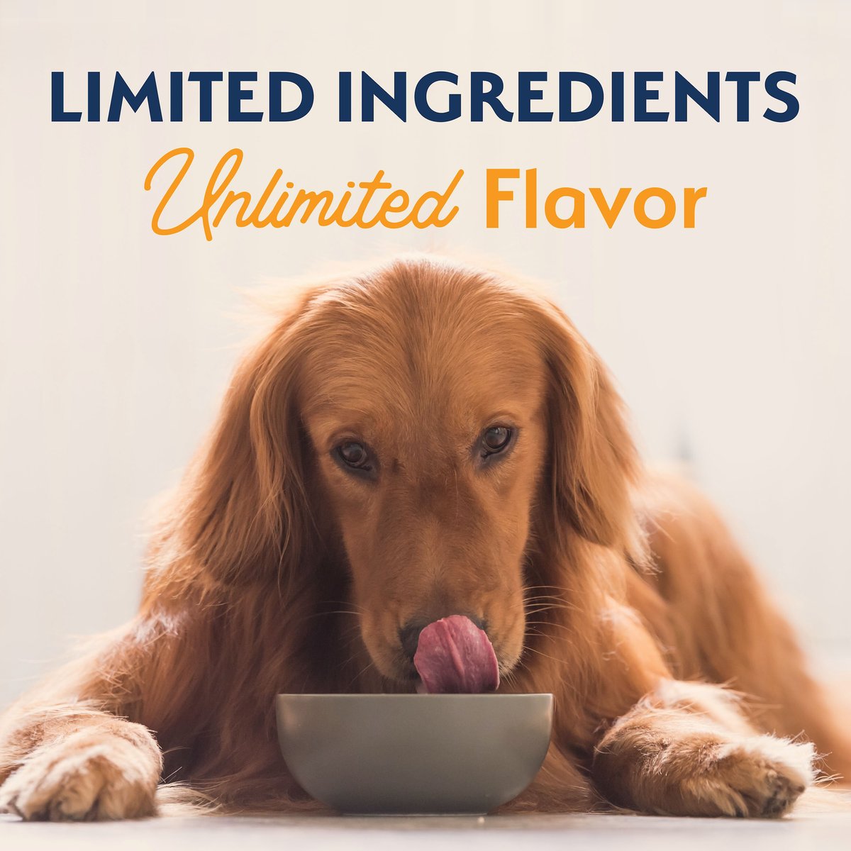 Natural Balance Limited Ingredient Reserve Grain-Free Duck and Potato Recipe Dry Dog Food