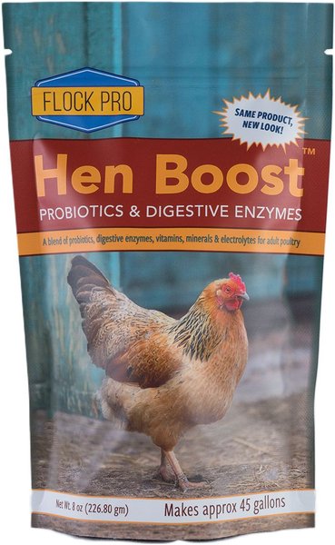 Animal Health Solutions Hen Boost Probiotics and Digestive Enzymes Chicken Supplement， 8-oz bag