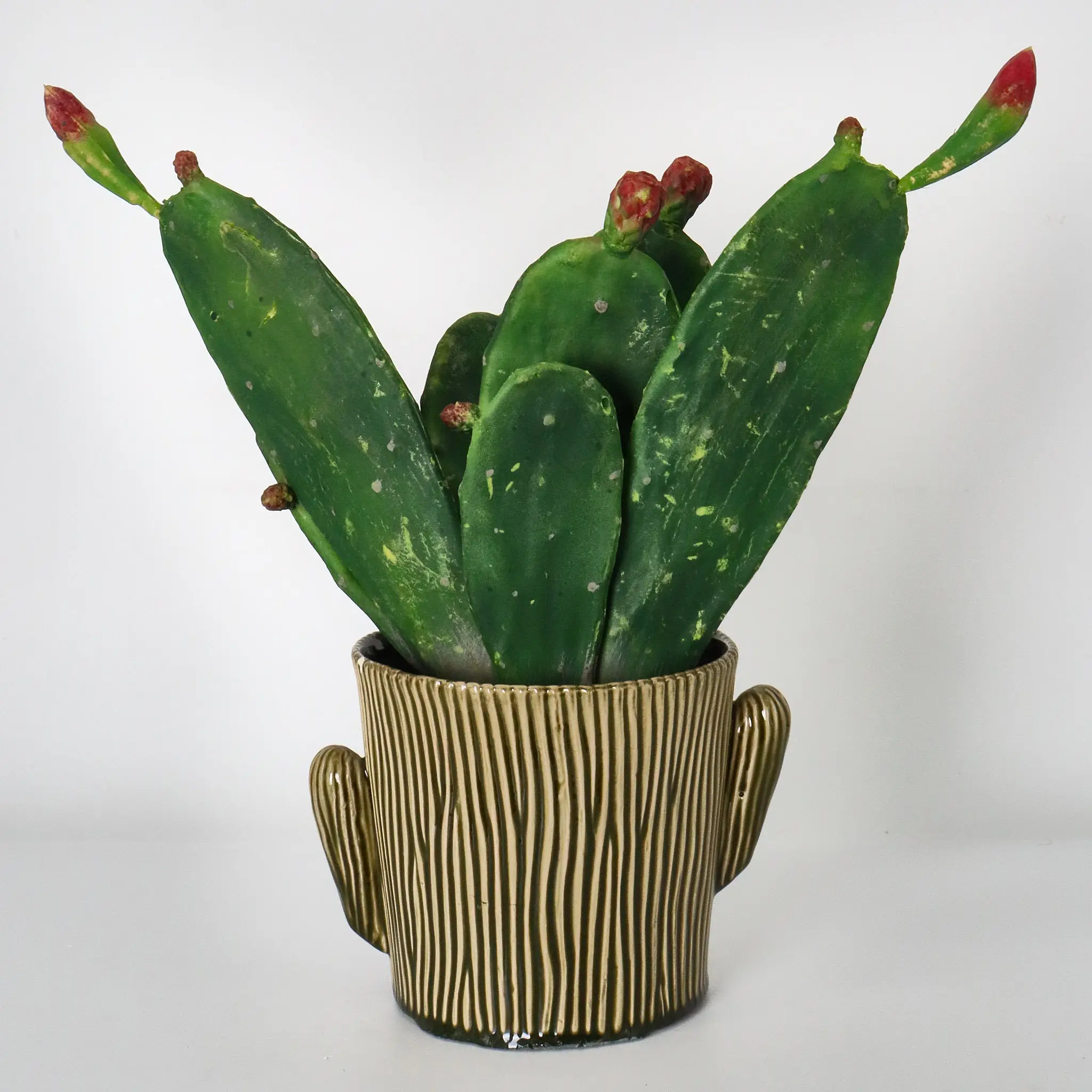 Home Decor Garden Supplies Ceramic Garden Pot Cactus Shaped Modeling Planters Custom Cactus Pots for Plant