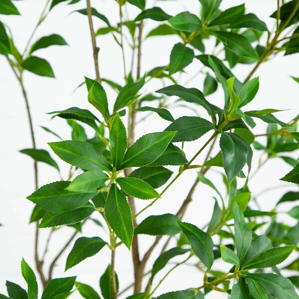 7' Artificial Minimalist Japanese Pieris Tree with Real Touch Leaves