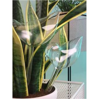 Plant Self Watering Bulbs Hand Blown Clear Glass Bird Plant Waterer (2-Pieces) B07MW6DCZL