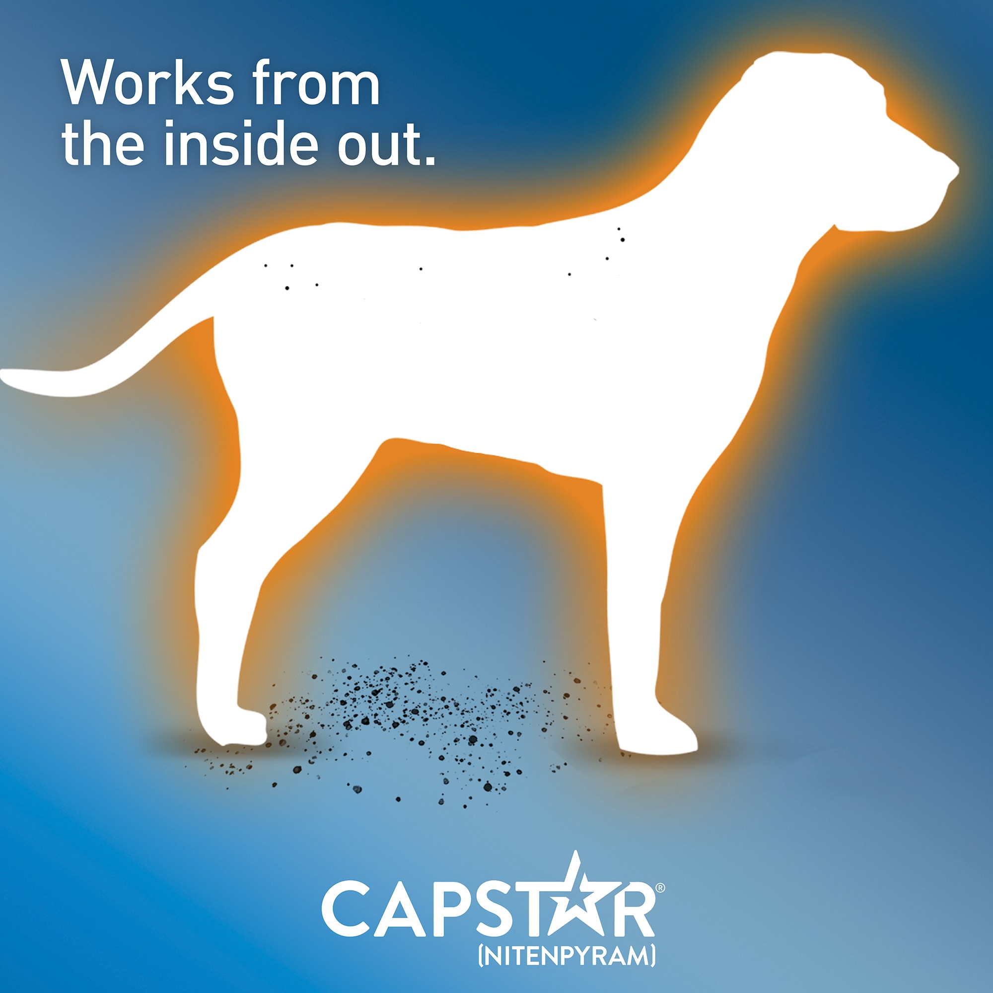 Capstar Flea Tablets for Dogs over 25 lbs.， Count of 6