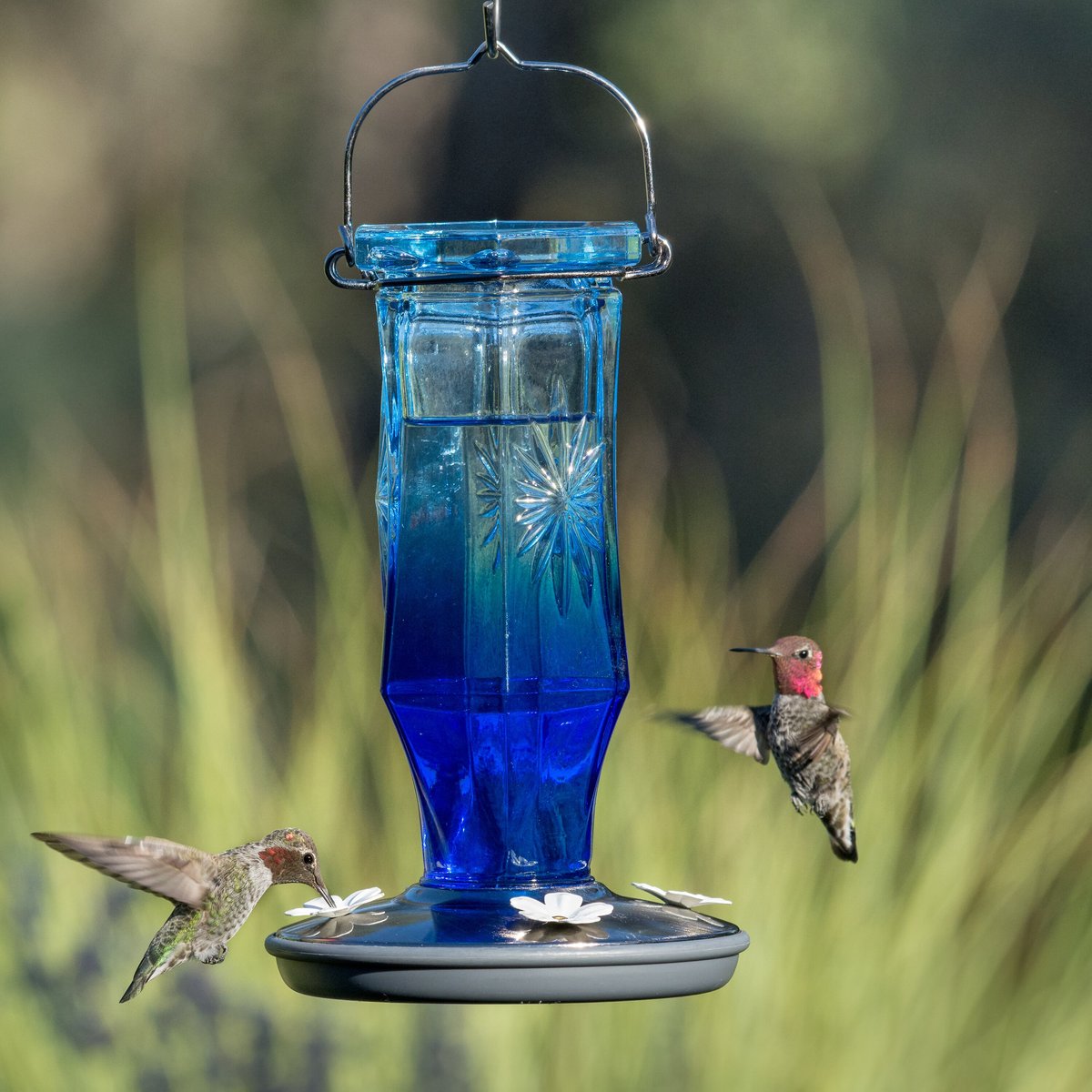 Perky-Pet Sapphire Starburst Vintage Hummingbird Feeder