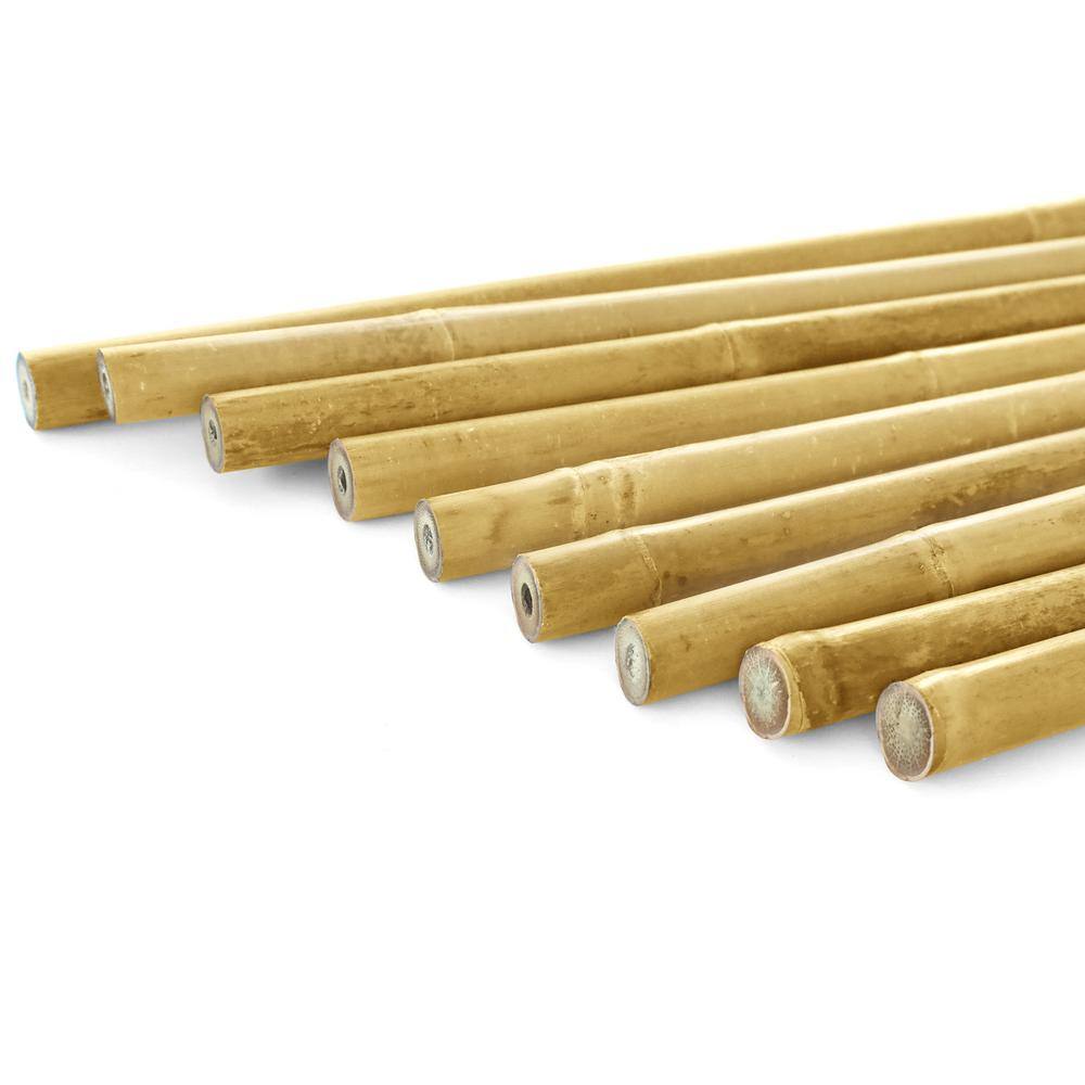 Ecostake 5 ft. Natural Bamboo Eco-Friendly Garden Plant Stakes for Climbing Support for Tomatoes Trees Beans (40-Pack) BPST540P