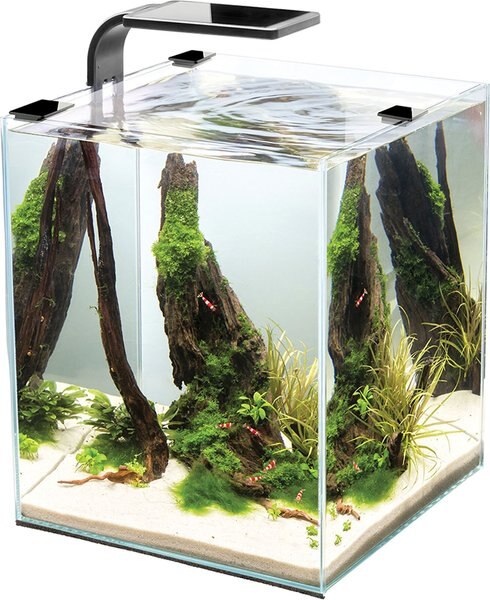 Cobalt Aquatics Microvue 10 Aquarium Kit 10， 2.6-gal