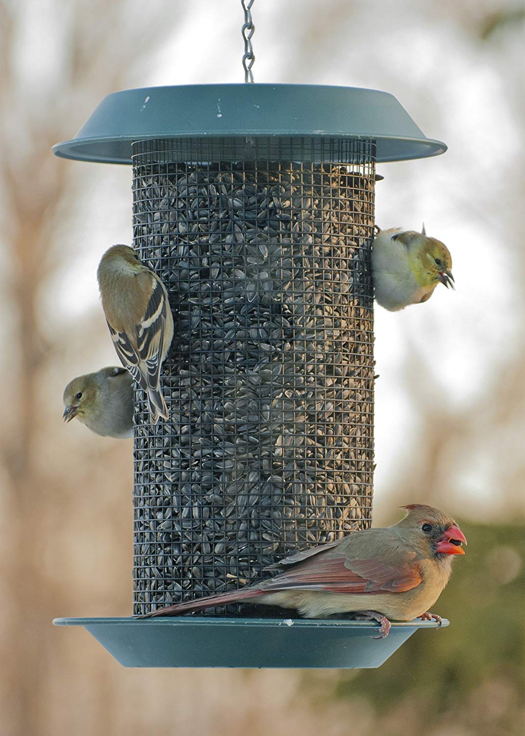 Wood Link MAG1 Magnum® Sunflower Feeder