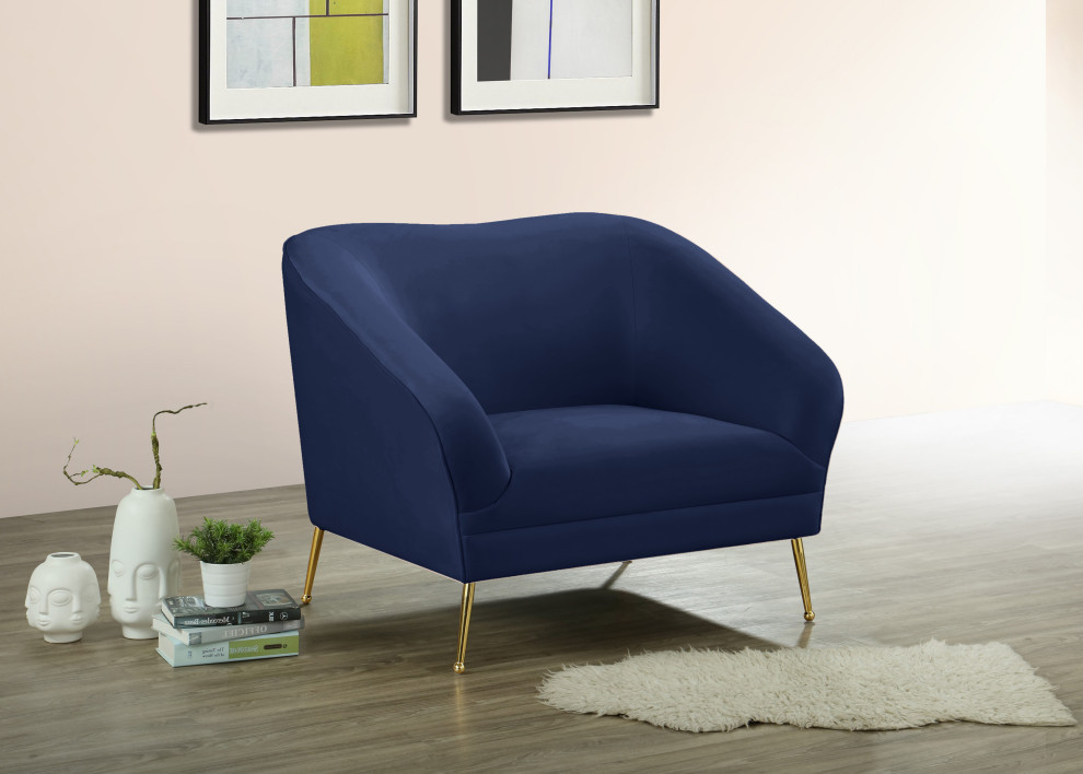 Hermosa Velvet Chair   Midcentury   Armchairs And Accent Chairs   by Meridian Furniture  Houzz