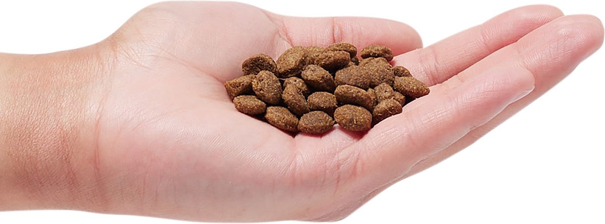 Earthborn Holistic Venture Limited Ingredient Grain-Free Smoked Bison and Pumpkin Dog Dry Food