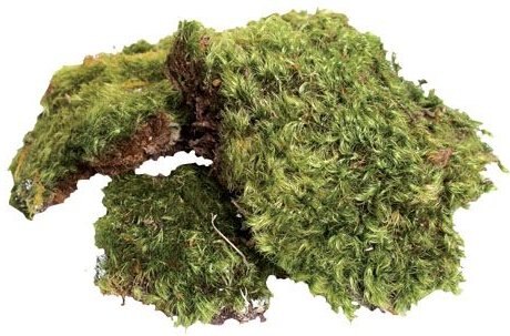 Zoo Med All Natural Frog Moss， 80-in