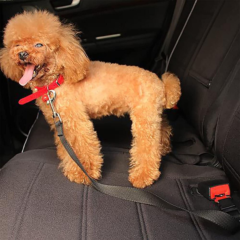 Dog Seat Belt， Dog Seatbelt， Pets Dog Car Harness Safety Nylon Fabric Adjustable Dogs Seat Belts Tether for Cars， Trucks， Travel， 2 Pack Black+Pink