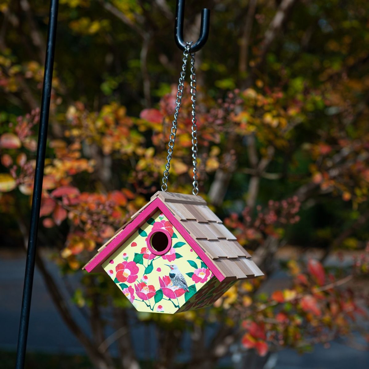 Home Bazaar Printed Cherokee Rose Wren Birdhouse