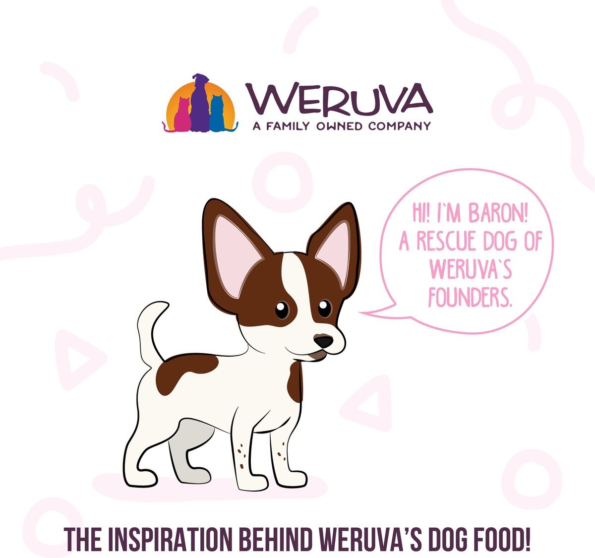 Weruva Classic Dog Meals 'n More Bed and Breakfast Recipe Plus Wet Dog Food， 3.5-oz cup， case of 12