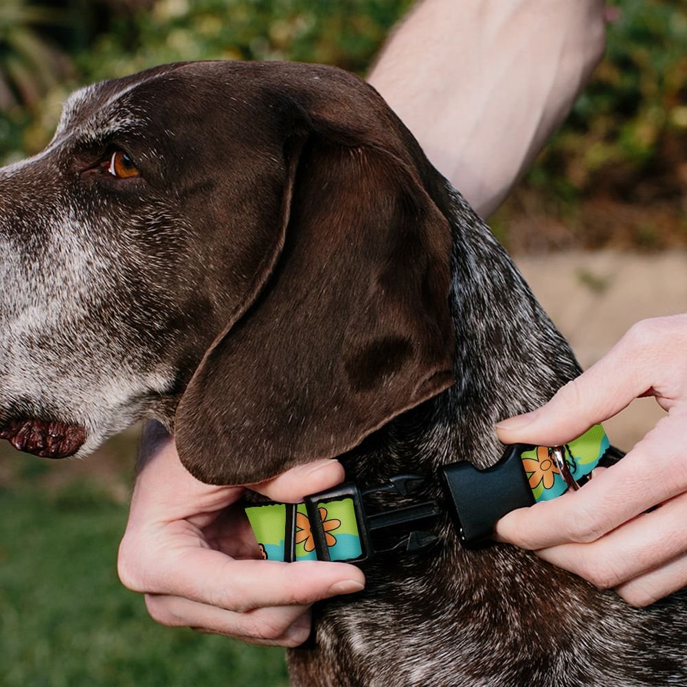 Buckle-Down Scooby Doo The Mystery Machine Paint Job Personalized Dog Collar