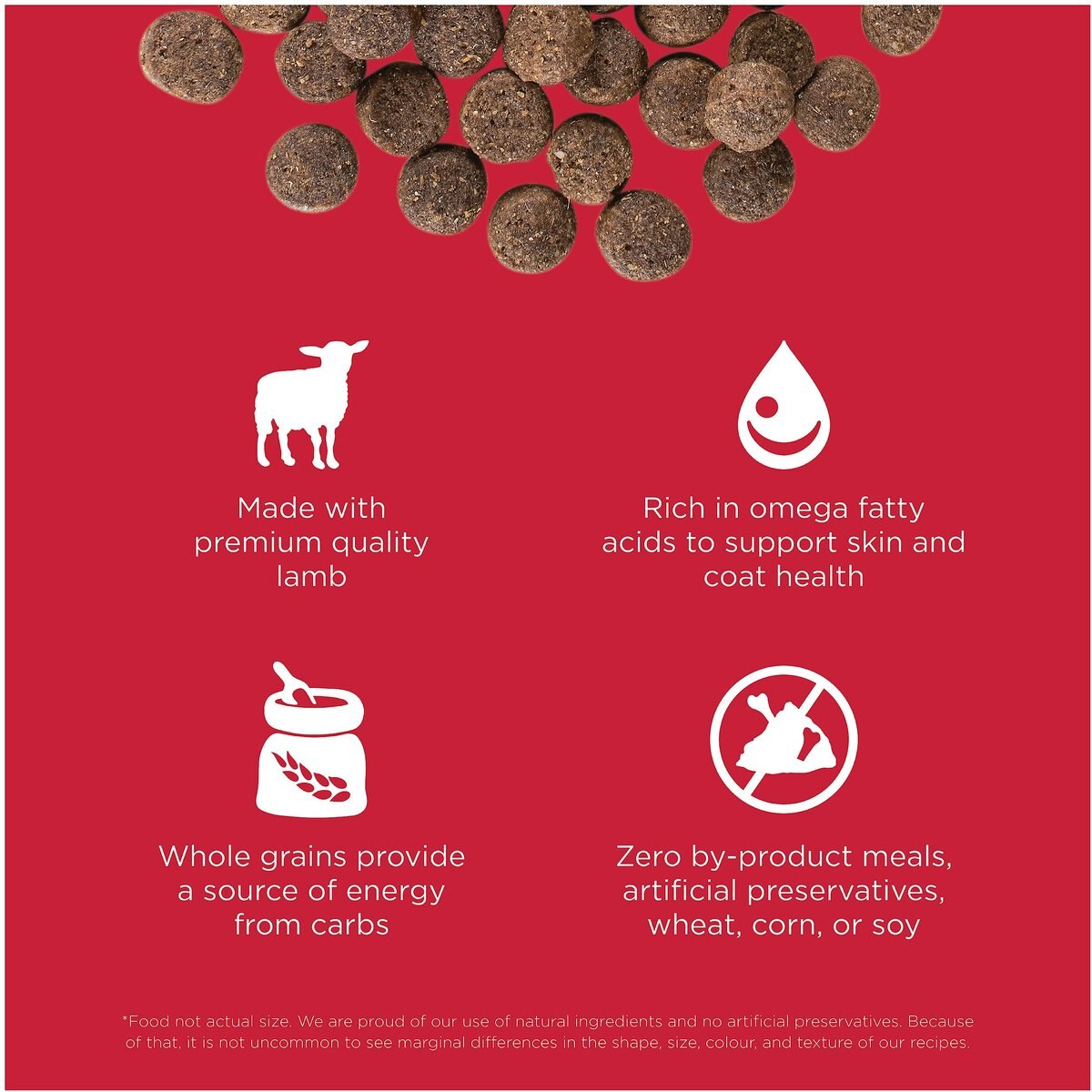 Go! Solutions Skin + Coat Care Lamb Meal Recipe Dry Dog Food