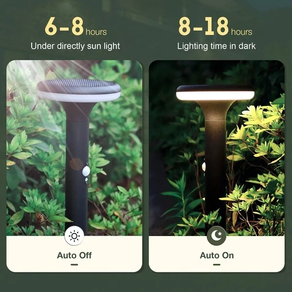 Inowel Solar Outdoor Light Pathway Garden Dusk to Dawn with Stake 2116