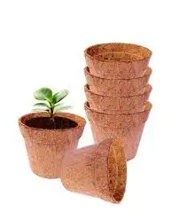 Modern Home Decor Benefits ofCoco HuskPots for Gardening Coco Coir Pots Function Meets Eco Friendliness In Indoor Outdoor Plants