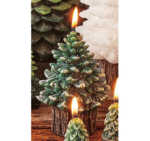 Tagltd Spruce Med Rustic Tree Candle