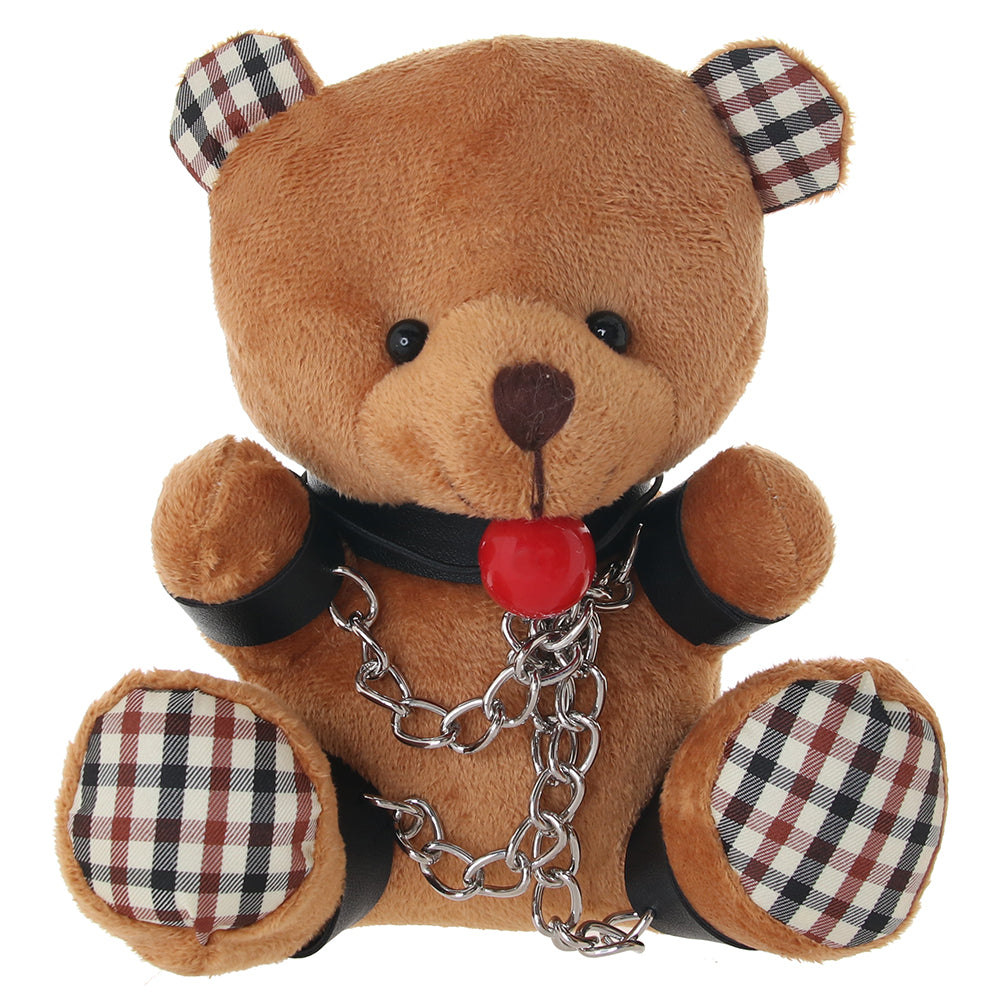 Master Series Gagged Teddy Bear