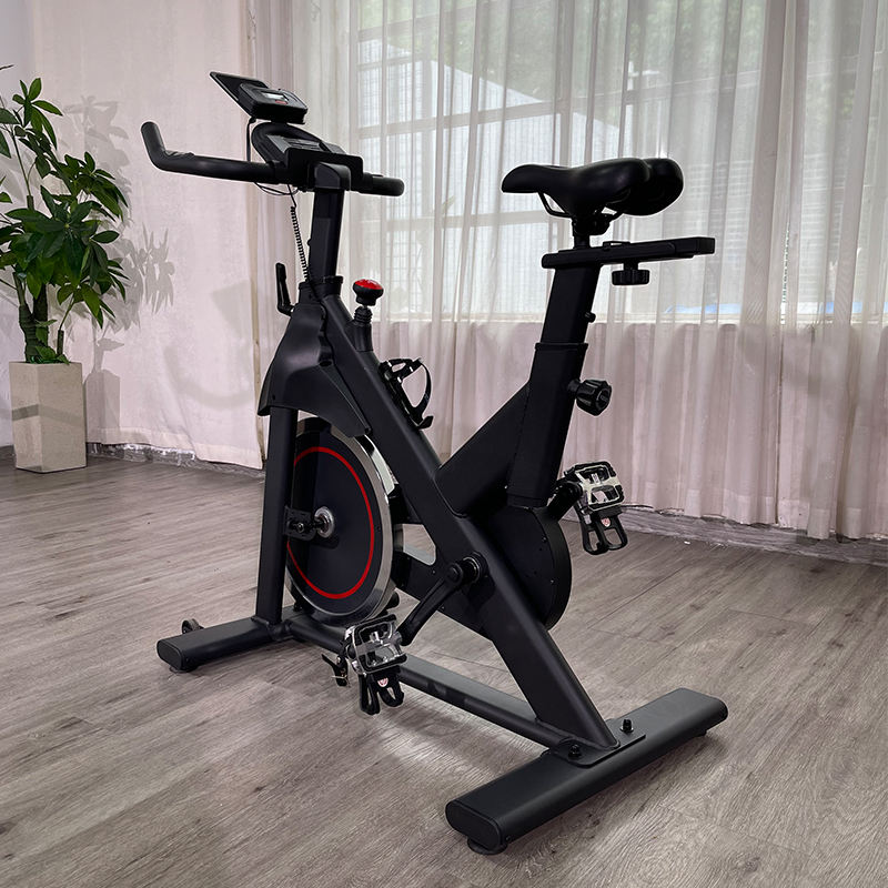 13 Kg Spin Bike home sport professional gym spinning exercise best indoor bike