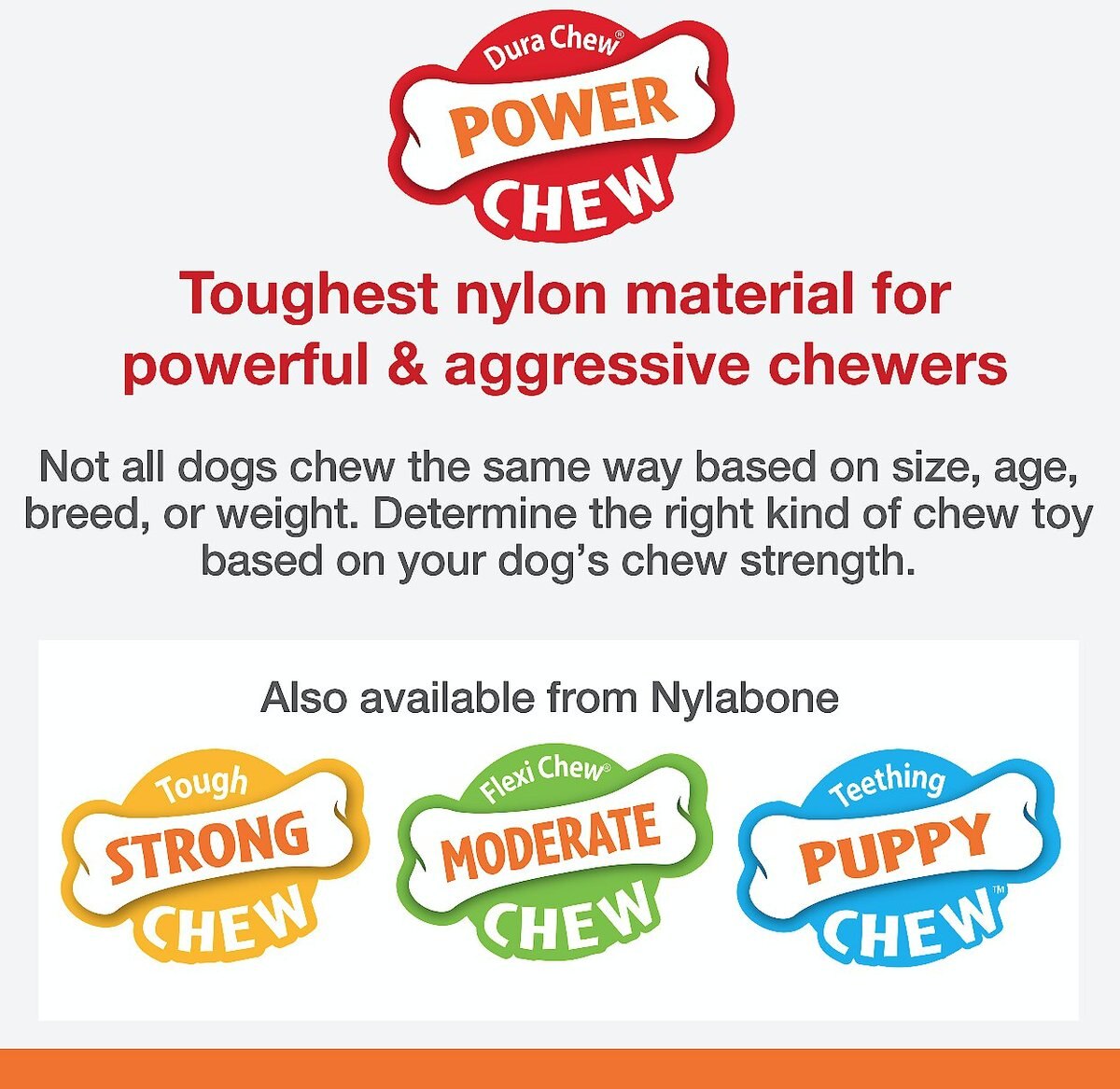 Nylabone Power Chew Flavor Frenzy Cheesesteak Flavored Dog Chew Toy