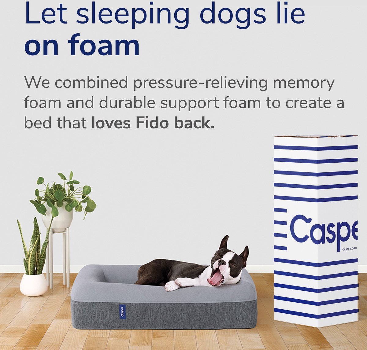 Casper Bolster Dog Bed