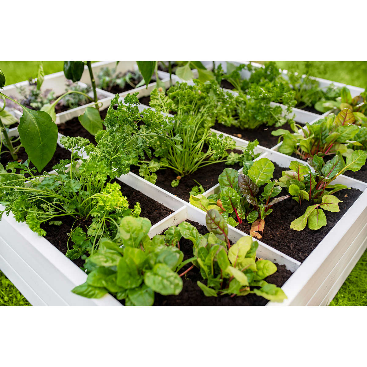 Vita Modular Vinyl Garden with Planting Grid 2-pack