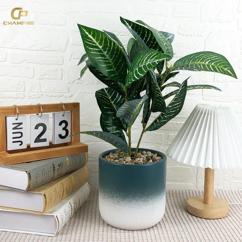 Wholesale Custom Garden Supplies Potted Plant Green Plants Pots Home Decorative Ceramic Flower Pot