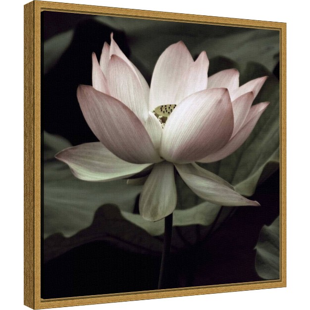 X 16 quot The Lotus I By Andy Neuwirth Framed Canvas Wall Art Amanti Art