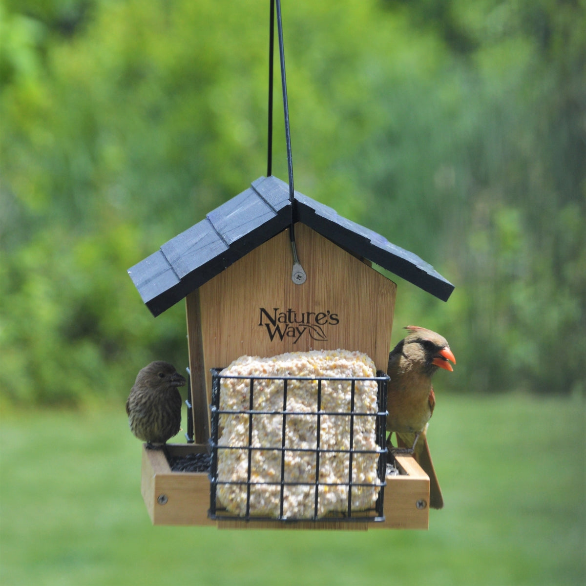 Bamboo - 3QT Hopper bird feeder w/suet