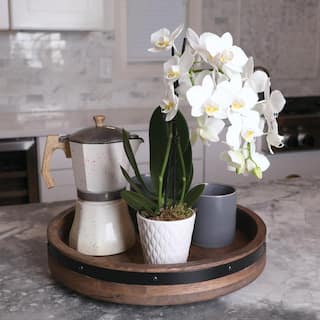 Just Add Ice Orchid (Phalaenopsis) Petite White with Yellow Throat Plant in 3 in. White Ceramic Pottery J5004