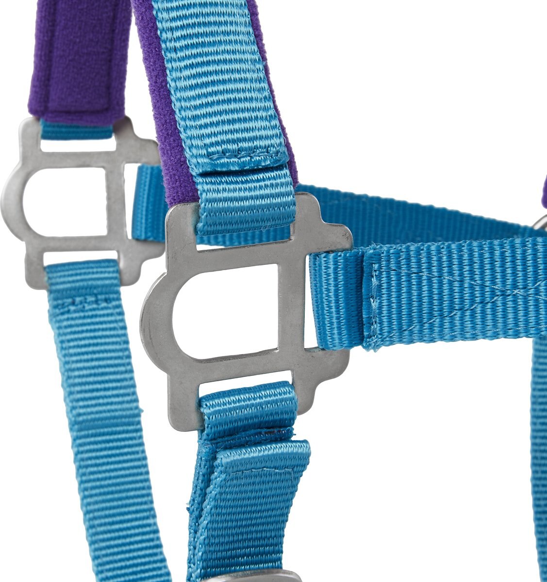 Tough-1 Nylon Padded Halter with Satin Horse Hardware， Turquoise