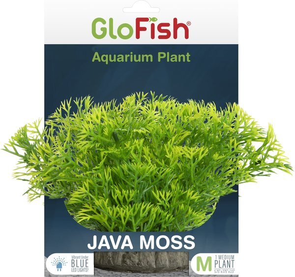 GloFish Javamoss Aquarium Plant