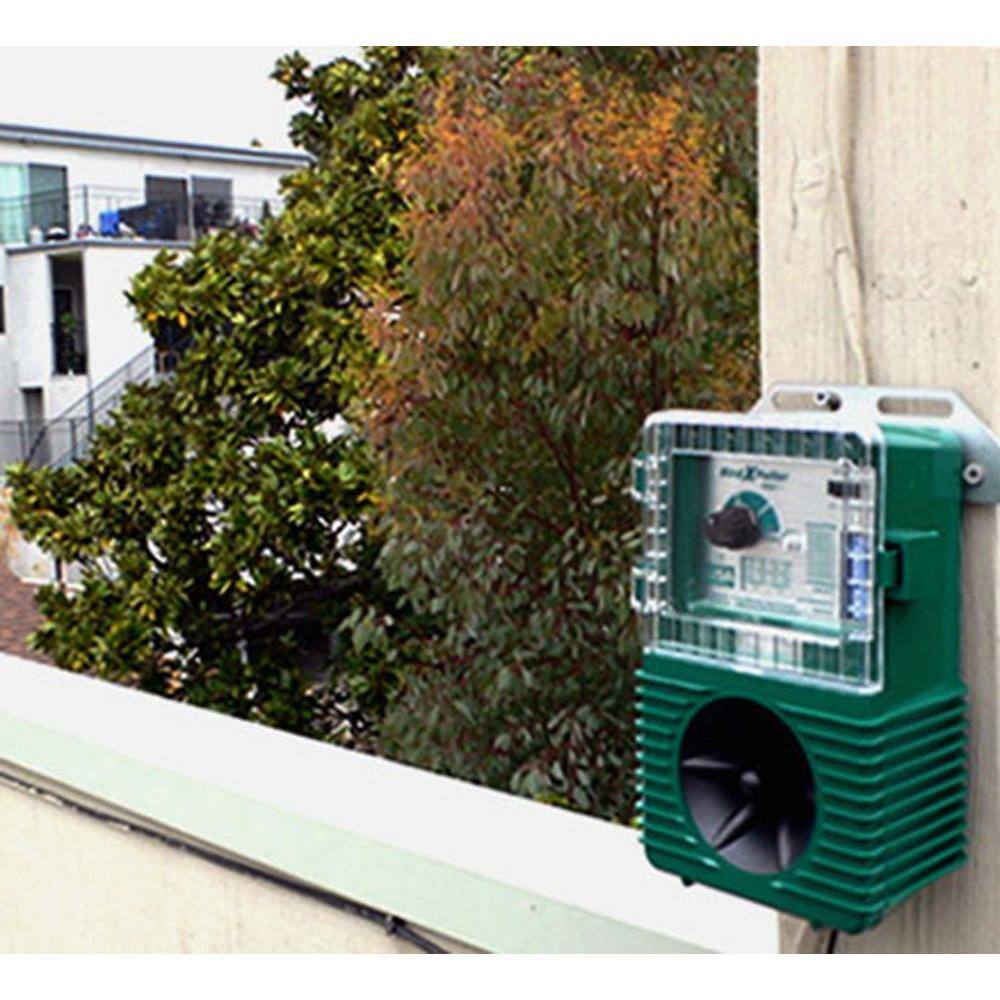 Bird-X Bird Xpeller Pro Electronic Bird Repeller Bird Control Model 1 for Pigeons Starlings Sparrows and Gulls BXP-PRO 1