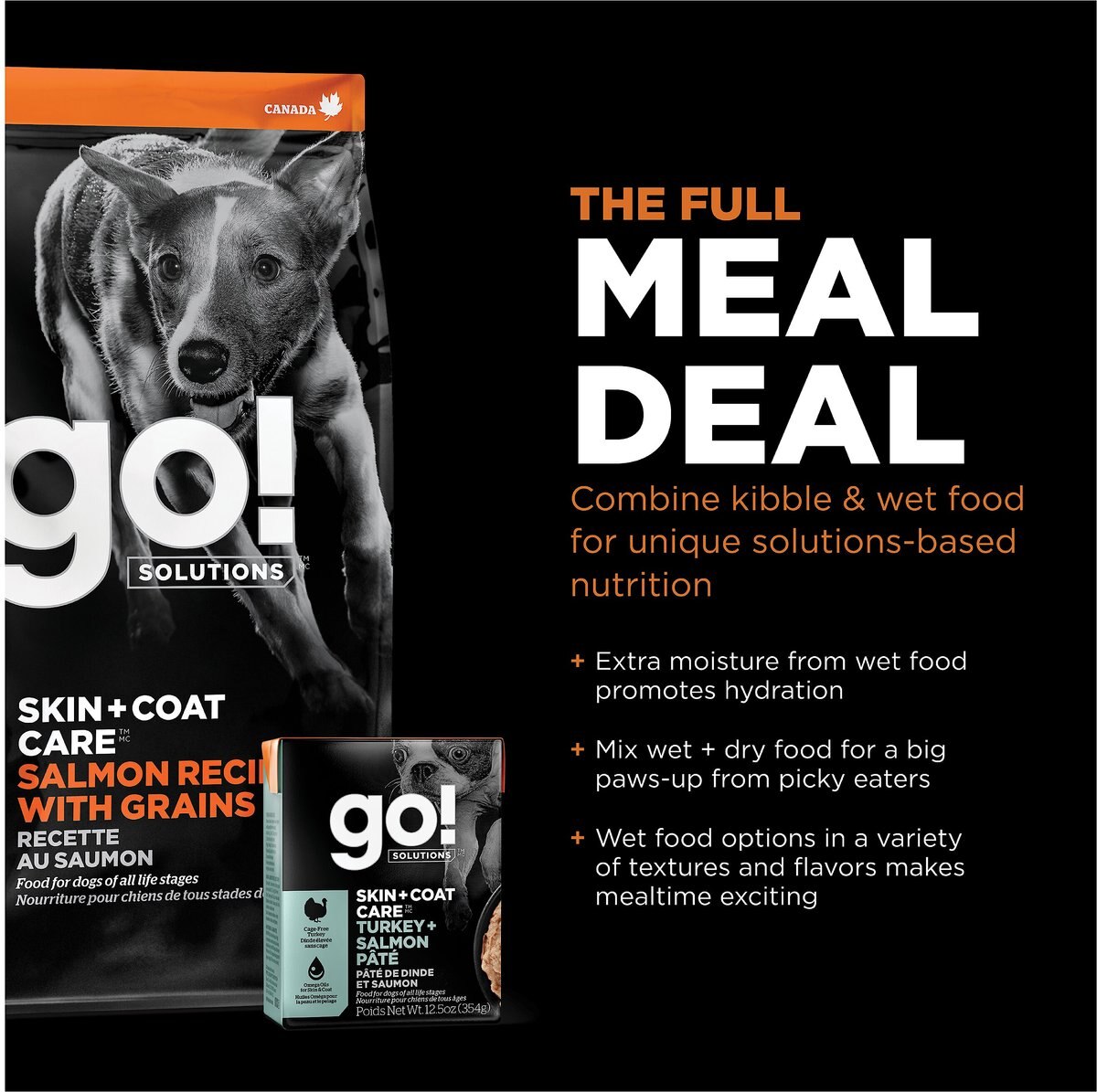 Go! Solutions Skin + Coat Care Salmon Recipe Dry Dog Food