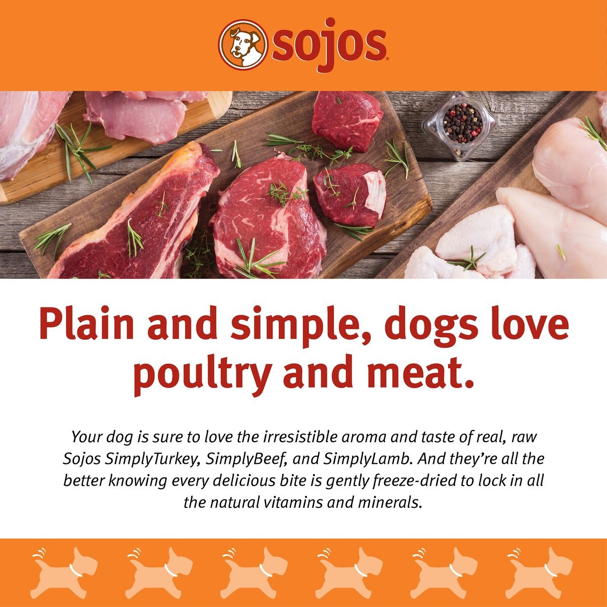 Sojos Simply Turkey Freeze-Dried Dog Treats