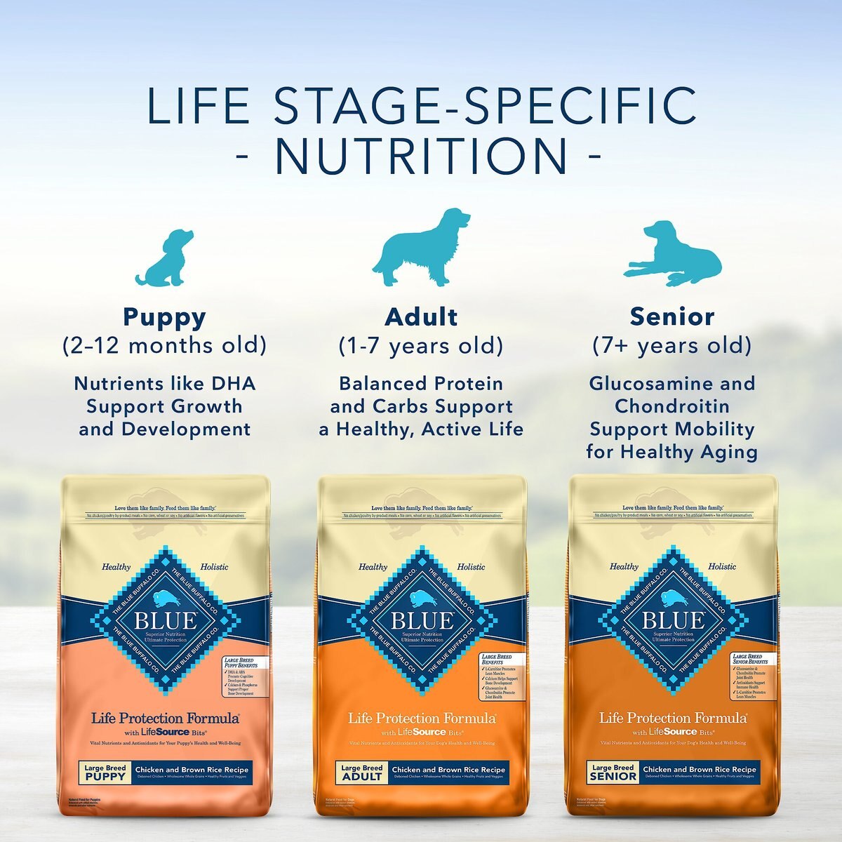 Blue Buffalo Life Protection Formula Large Breed Adult Chicken and Brown Rice Recipe Dry Dog Food