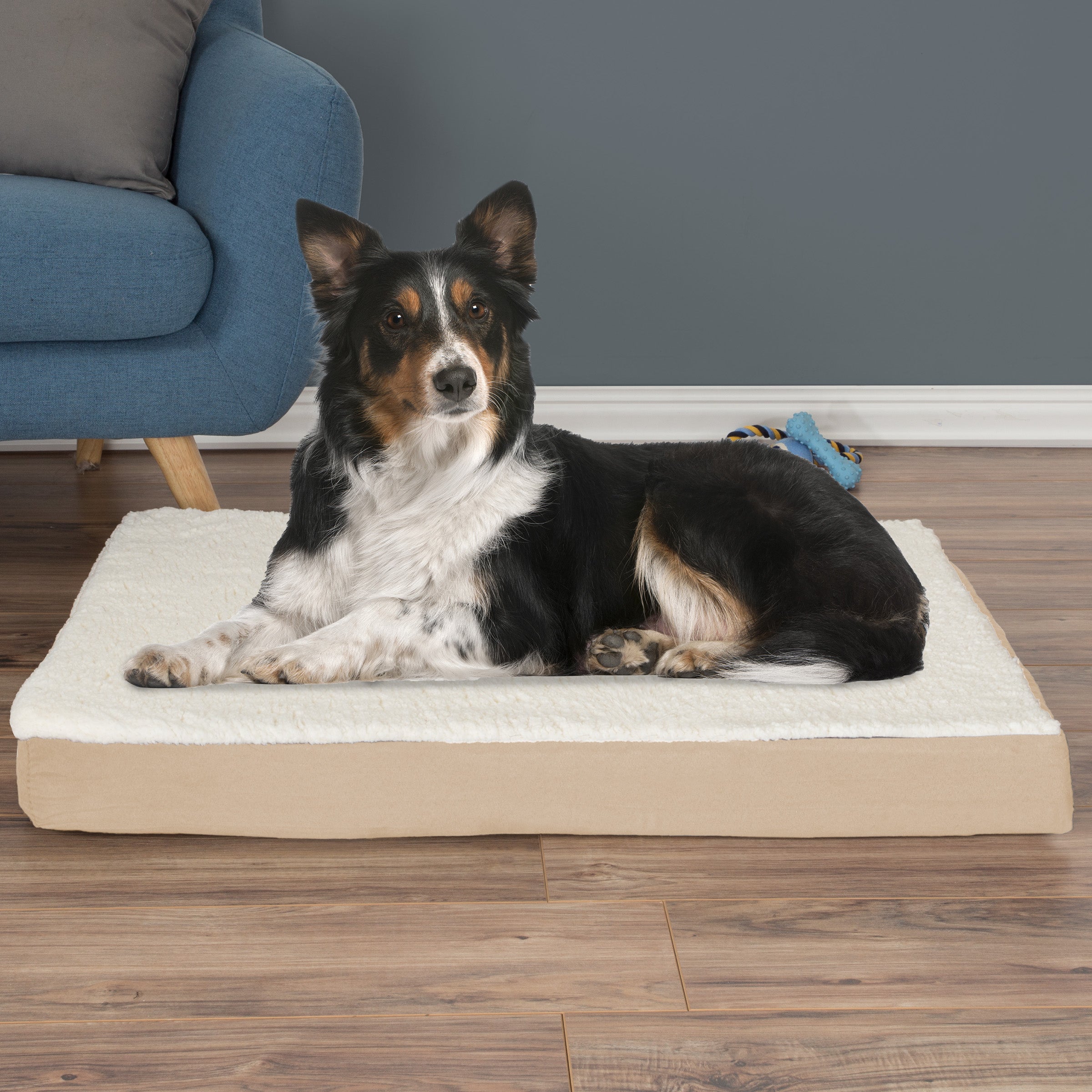 Dog Bed Orthopedic Sherpa Top Pet Bed with Memory Foam and Removable Cover 36x27x4 Tan