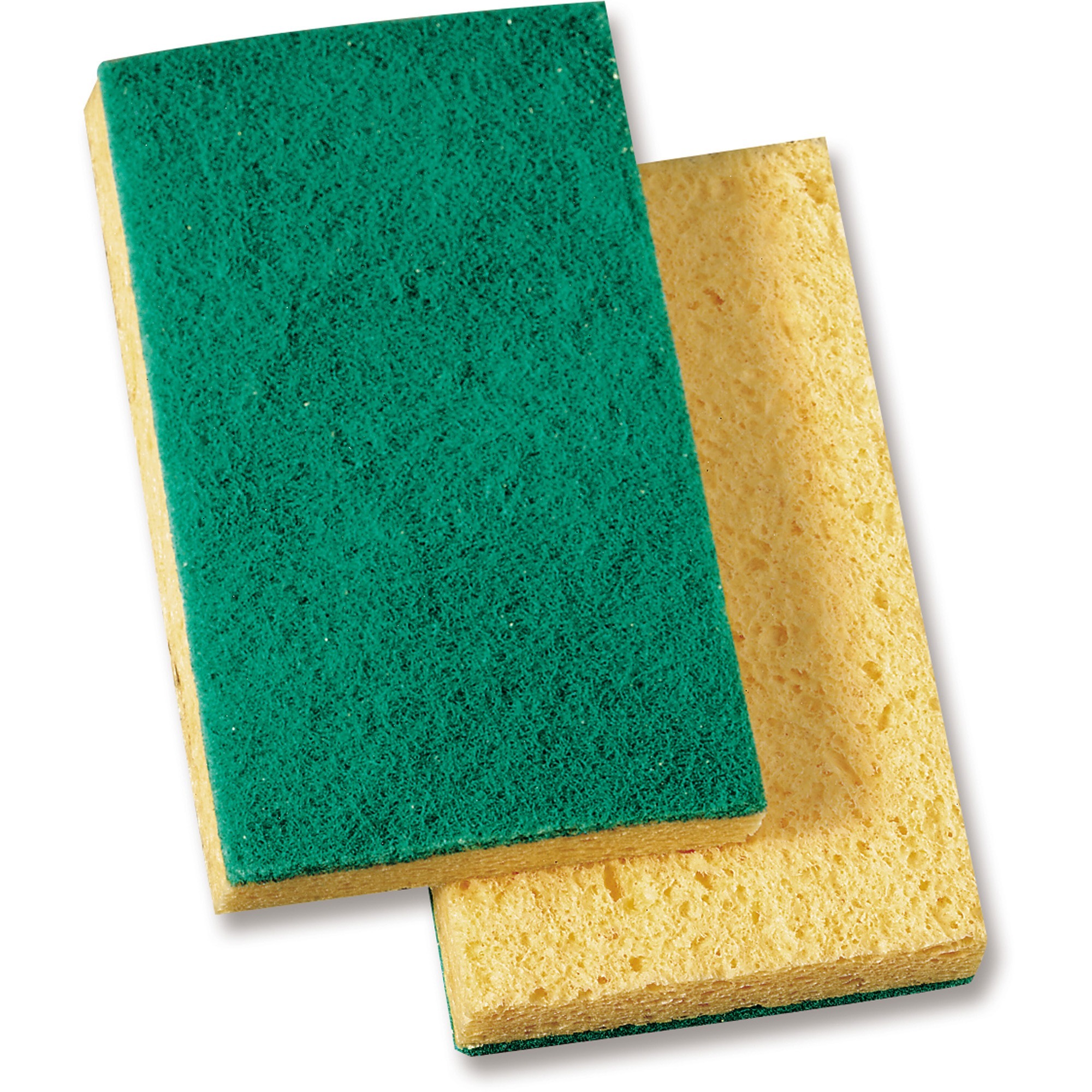 Medium-Duty Sponge Scrubber by Genuine Joe GJO18389