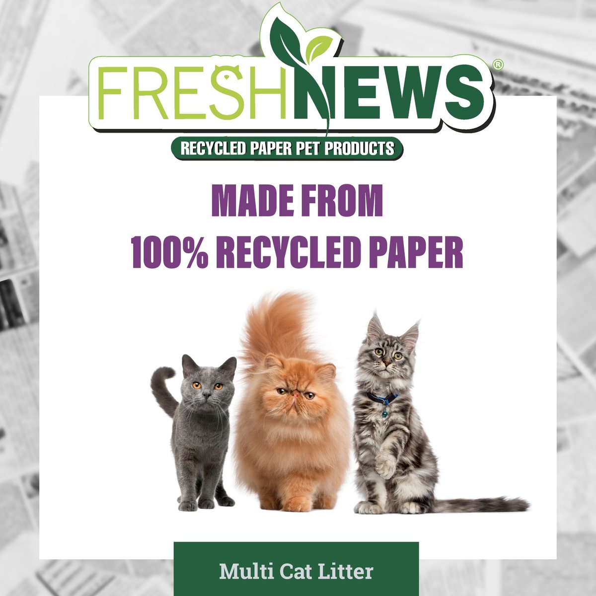 Fresh News Non-Clumping Scented Paper Cat Litter， 25-lb bag