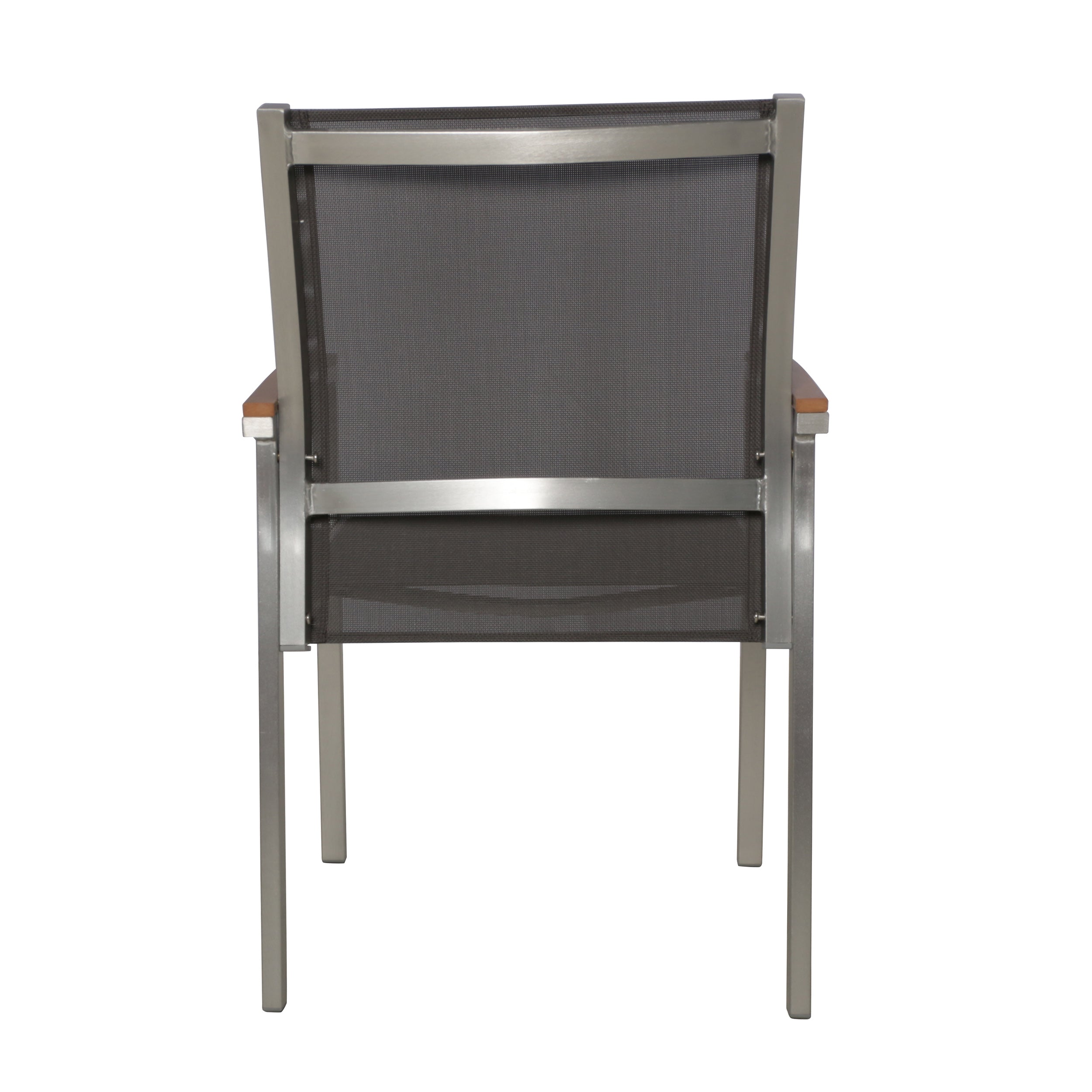 Emma Outdoor Wicker Dining Chair with Aluminum Frame (Set of 2)