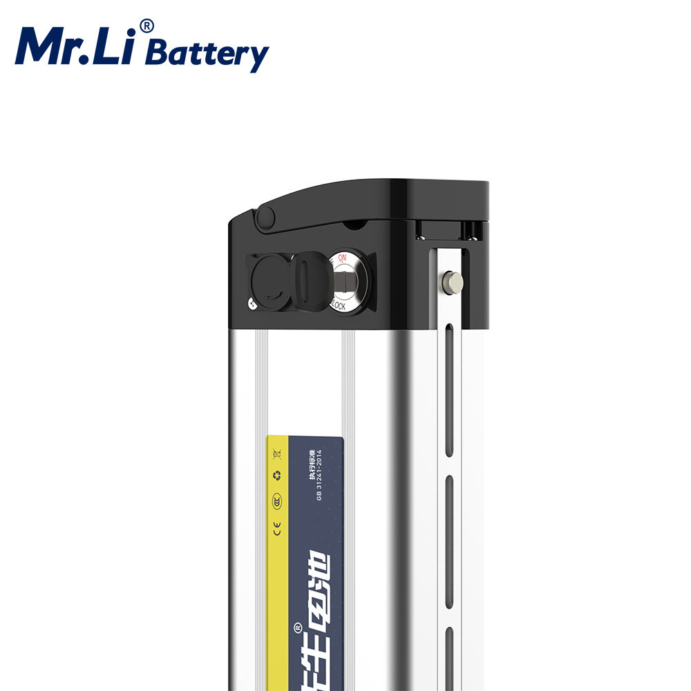 Practical 2021rechargeable 48v 20ah E bike Battery Pack with Bms Deep Cycle