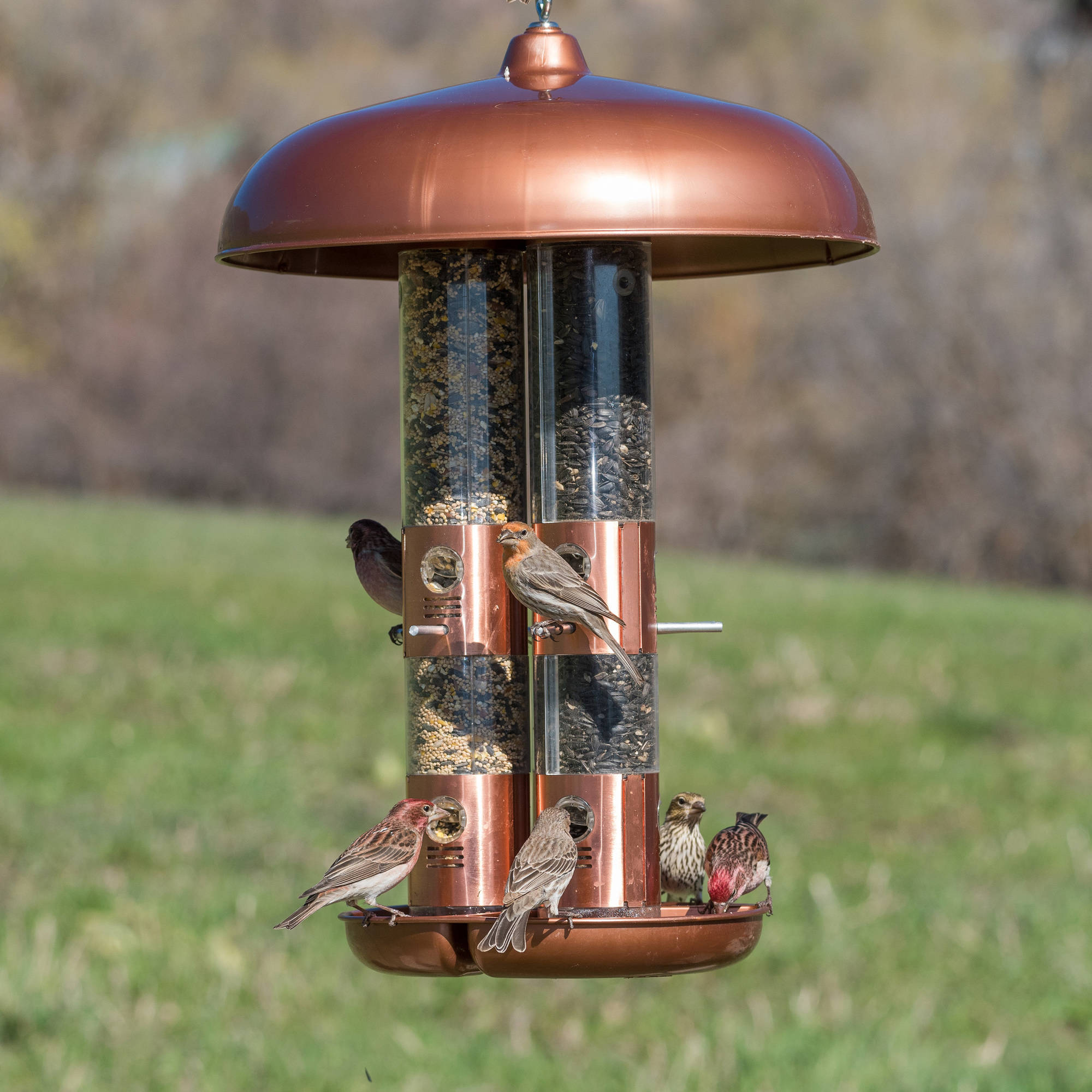 Perky-Pet 10 lb Copper Finish Triple Tube Bird Feeder