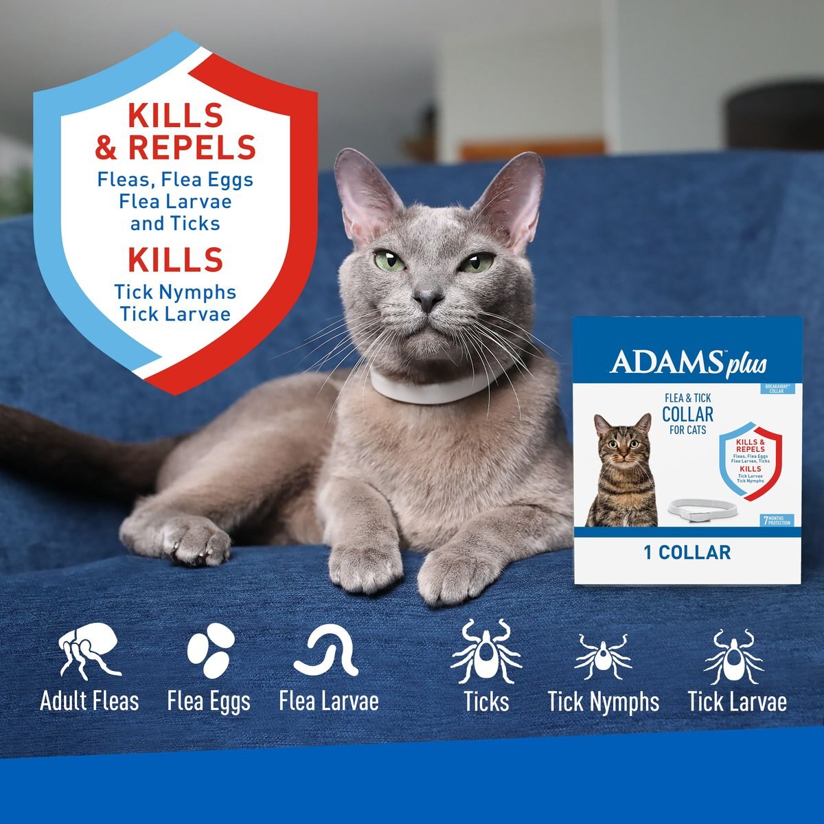 Adams Plus Flea and Tick Collar for Cats and Kittens