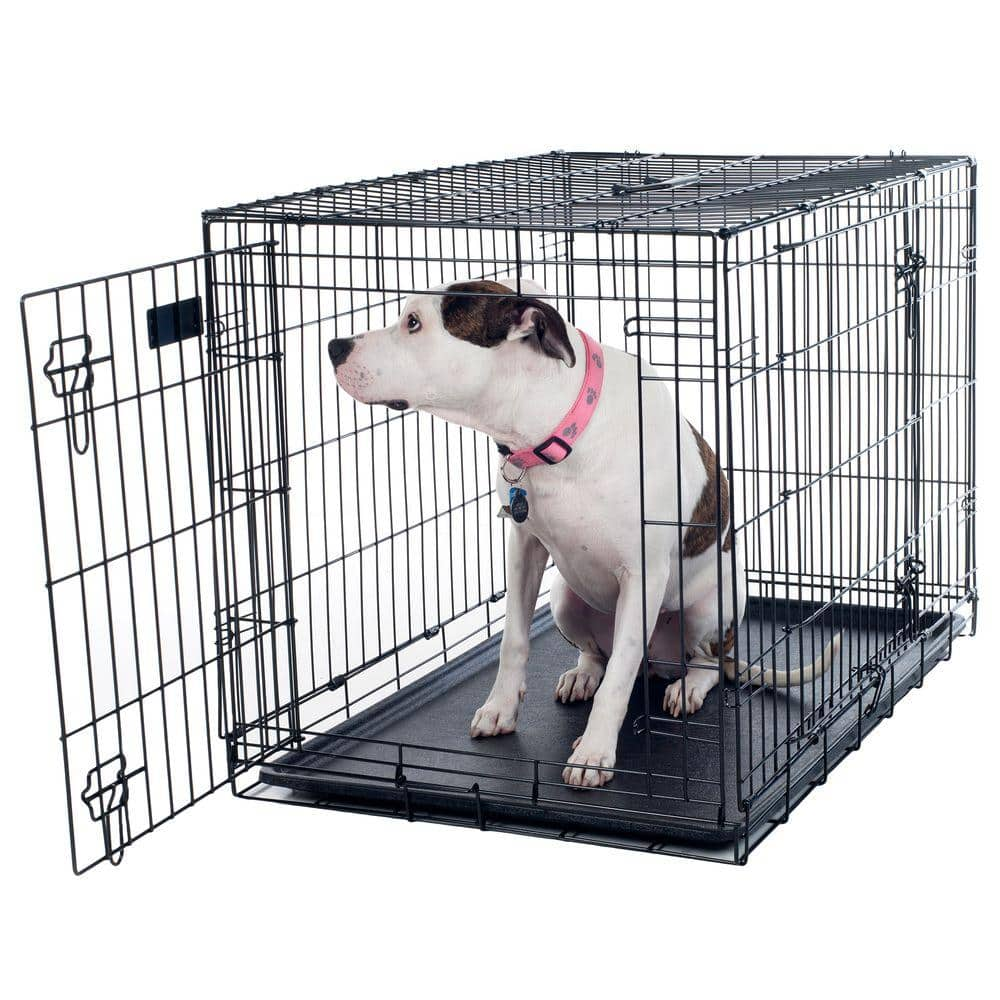 Petmaker 36 in. x 23 in. Foldable Dog Crate Cage with 2 Door 80-361501