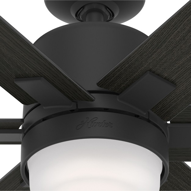 Radeon Smart Ceiling Fan With Led Light Hunter Fan