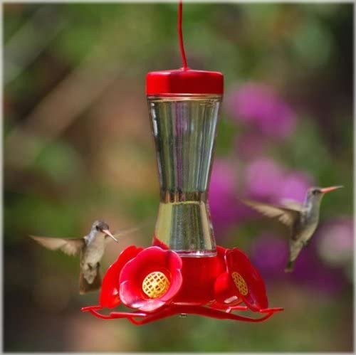 Perky-Pet Pinch-Waist Glass Hummingbird Feeder 203CP 8oz