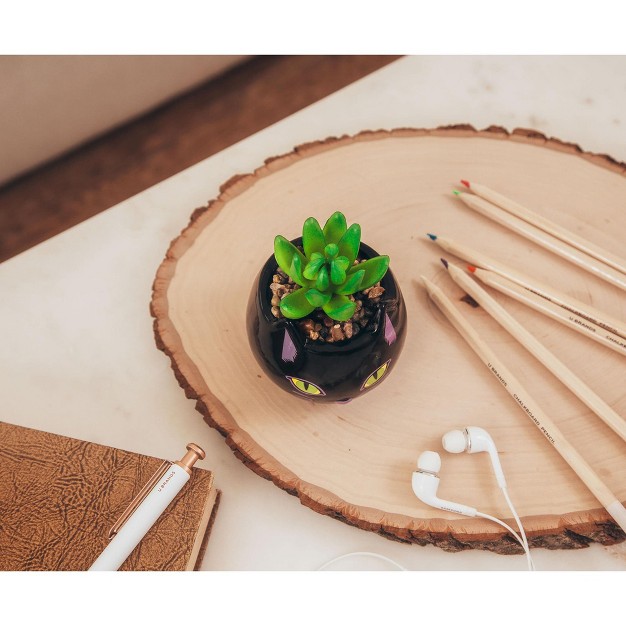 Ceramic Planter With Artificial Succulent